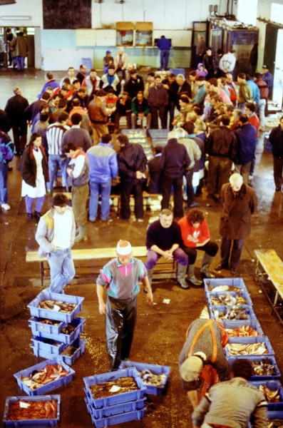 La llotja d´Arenys era el lloc on es feia la subhasta "cantada" fins a l´irrupció de la informàtica