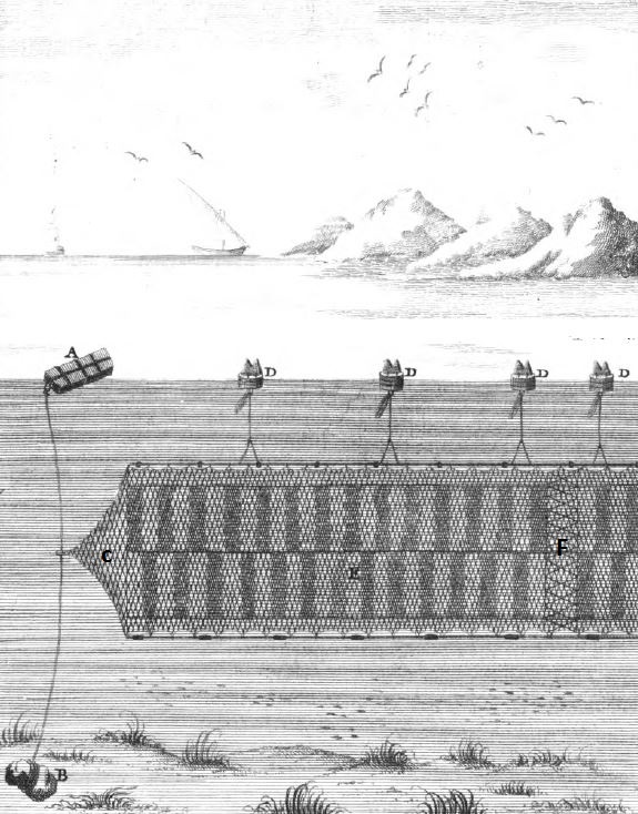 detall del sardinal calat. A Gall, B mort, C  cua de remolc, D bornois (tres per peça), E peça de remolc, F botafions. Il.lustració modificada  del "Diccionario histórico de los artes de pesca nacional"