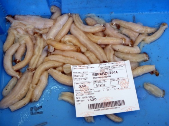 L´espardenya és una de les menges de mar més esquissides