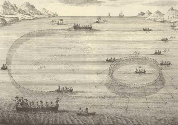 Un dels 347 gravats obra de Juan batista Bru que es poden trobar al Diccionario