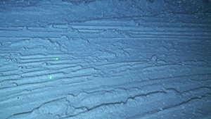 1.11356_Trawled_seafloor_CRG-Marine-Geosciences_University-of-Barcelona-