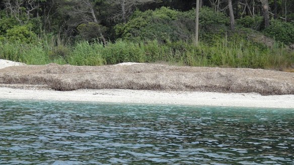 Port_Cross_juny2011_43