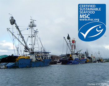 39468_350x278_72_DPI_0