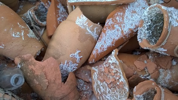 WP_20141020_18_21_25_Pro