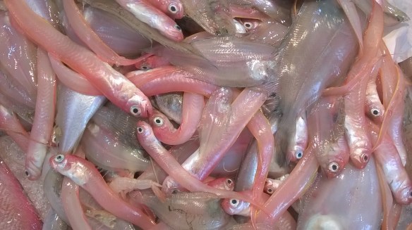 WP_20150623_17_05_32_Pro