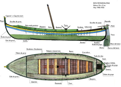 nomenclatura bou badalona