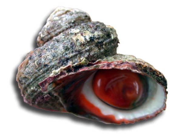 Nombre de archivo :DSCN2133.JPG Tamaño de archivo :614.6 KB (629327 Bytes) Fecha de la fotografía :2002/11/23 17:58:08 Tamaño de imagen :2048 x 1536 Resolución :72 x 72 ppp Número de bits :canal de 8 bits Atributo Protección :Desactivado Atributo Ocultar :Desactivado ID de la cámara :N/A Modelo :E995 Modo Calidad :NORMAL Modo Medición :Multipatrón Modo Exposición :Automático programado Flash :No Distancia focal :13.9 mm Velocidad del disparador :1/51.9segundo Abertura :F3.2 Compensación de exposición :0 EV Balance del blanco fijo :Automático Objetivo :Incorporado Modo de sincronización del flash :N/A Diferencia de exposición :N/A Programa flexible :N/A Sensibilidad :Auto Nitidez :Automático Modo Curva :N/A Modo Color :COLOR Compensación de tono :AUTOMÁTICO Latitud (GPS) :N/A Longitud (GPS) :N/A Altitud (GPS) :N/A